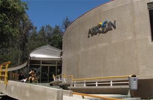 Museo Artequín de Viña del Mar