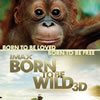 born2bewild