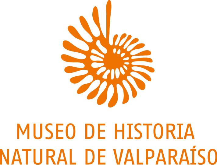 logo museo alta