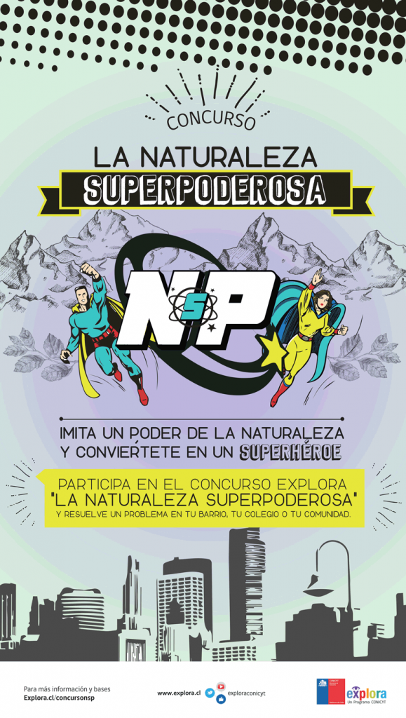Afiche-NP