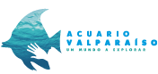 Acuario Valparaiso