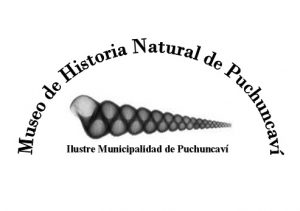 museo-logo