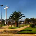 V Alemana